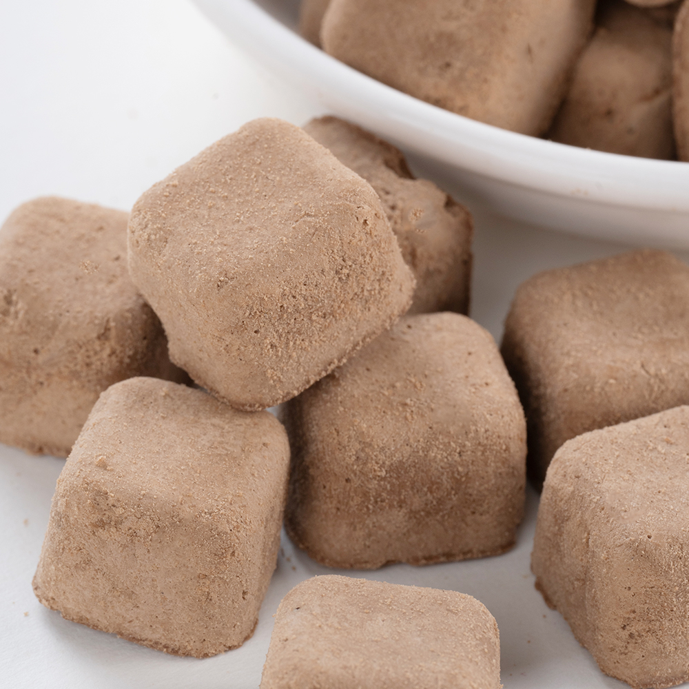 Freeze-Dried Chocolate Mocha Coffee Flavor Cube | 1kg Bulk Pack