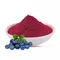 Blueberry Powder