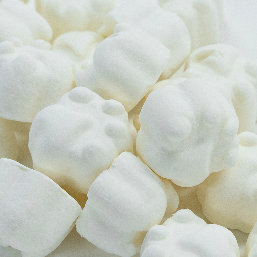 Freeze-Dried Milk Ice Cream Flavor Bites | 1kg Bulk Pack