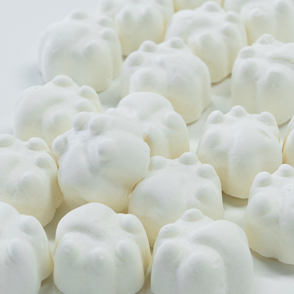 Freeze-Dried Milk Ice Cream Flavor Bites | 1kg Bulk Pack