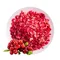 Cranberry Dice