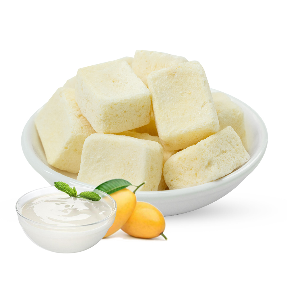Freeze Dried Yogurt Cube - Mango Flavor | 3g 1kg Bulk Pack